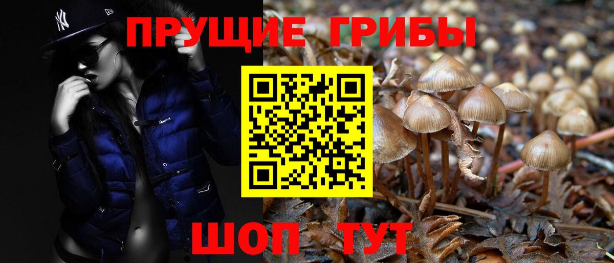 Псилоцибиновые грибы Cubensis  Вход с VPN  Новоуральск  Галлюциногенные грибы GOLDEN TEACHER 
